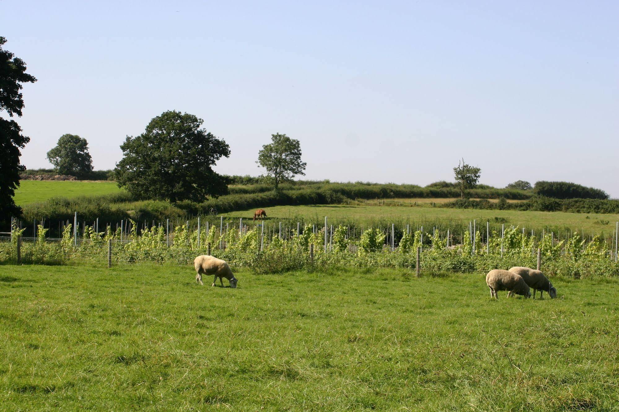 Brigstock The Swallows Rest Bed & Breakfast المظهر الخارجي الصورة